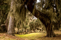 Oaks at Ft. Frederica